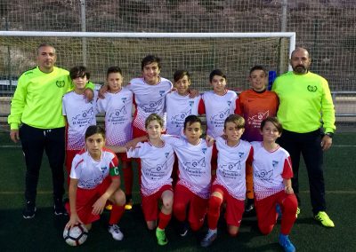 alevin