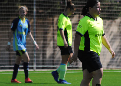 Almeriacup4